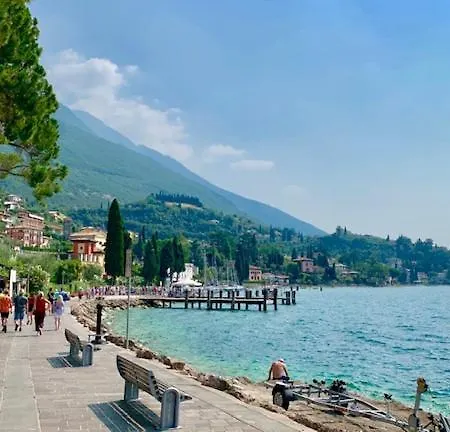 Gabbiano Malcesine